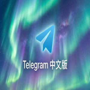 Telegram 中文版隐藏在线状态的详细设置方法（速成版） - Telegram 官网